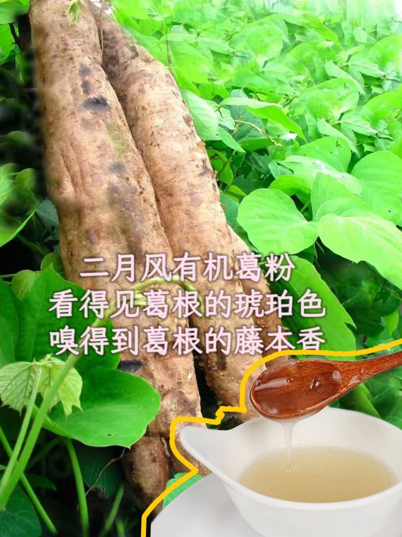 二月風(fēng)有機葛粉，看得見葛根的琥珀色，嗅得到葛根的藤本香_790.jpg