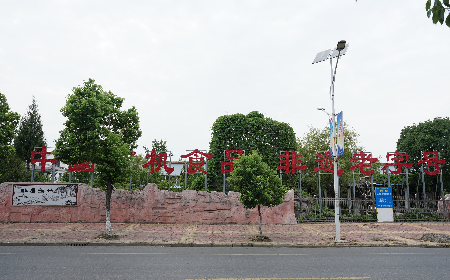 當(dāng)定制葛粉時，我們真正在選擇什么？