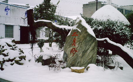 二月風(fēng)致老友：一碗葛根粉的牽掛，農(nóng)博會(huì)上的重逢之約二月風(fēng)盼老友：農(nóng)博會(huì)上，再續(xù)葛粉情緣